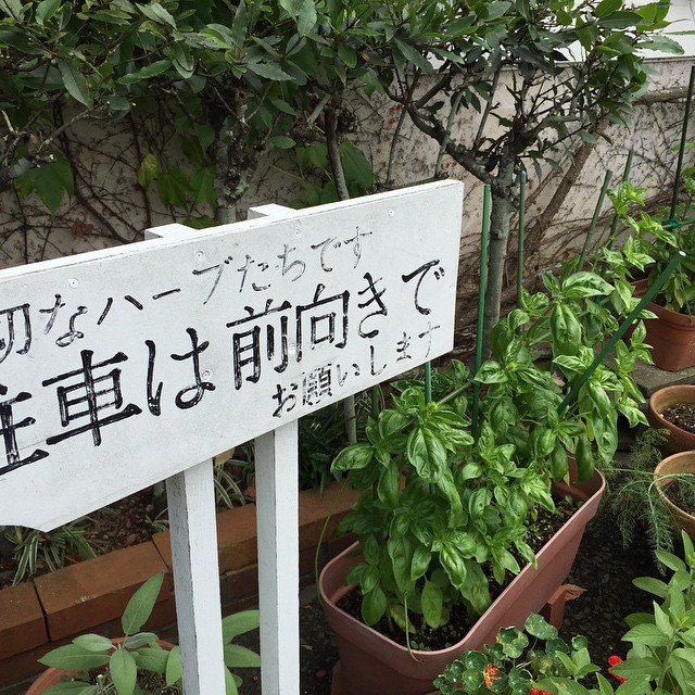 Instagramからの投稿