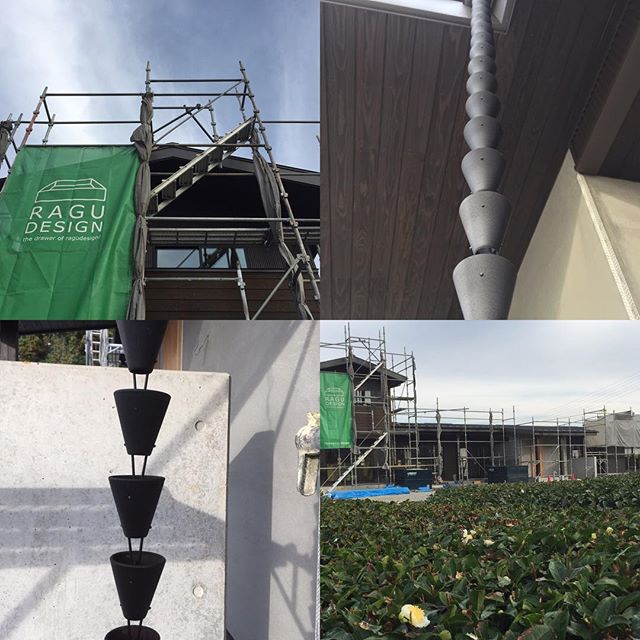 磐田市S邸。鳥のさえずりが心地よい朝イチ。茶花に心癒されます。最新のガルバ縦樋が付きました。良い感じ︎