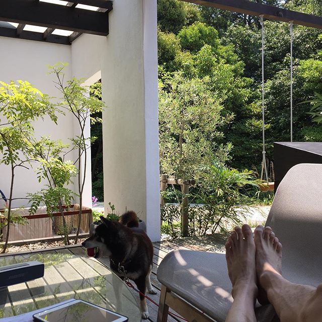 今日は休日。愛犬の小梅とデッキテラスでまったり過ごしてます。緑に囲まれているから空気も美味しいです。癒されてます。自分好みの家はいいものですね。