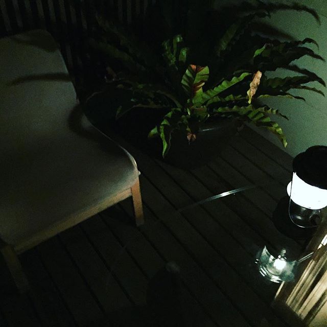 ランタンの灯りで最高の夜を演出。デッキにあるタニワタリといつものラウンジチェアーに座り、クラッシックを聴きながら知多を戴きます。明日は大切な仕事、上手くいきそうな予感！