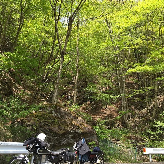 みなさま、おはようございます。GWはいかがお過ごしでしょうか？5/2の定休日に親友と水窪まで往復200kmのツーリングに行って来ました。ガスバーナー、チェアーなど持参し、最高のポイントで一服。僕のライフスタイルはアウトドア！暮らしかたにも影響しますね。そんな我が家は森林浴が出来る広いウッドデッキは必需品でして、 家を建てる時の必須項目でした。家を建てて8年経ち、新しい趣味も増えてガレージが欲しいと企んでる今日この頃。Officeにはガレージが有りますが、やはり自邸は格別なので。皆さんも時間の経過と共に家をカスタマイズしたいと思ってるんじゃないかなぁ〜〜。 そんな時は一度ラグデザインへ遊びに来てください。いっしょに夢を語りましょうか！ラグデザインは本日営業しております。