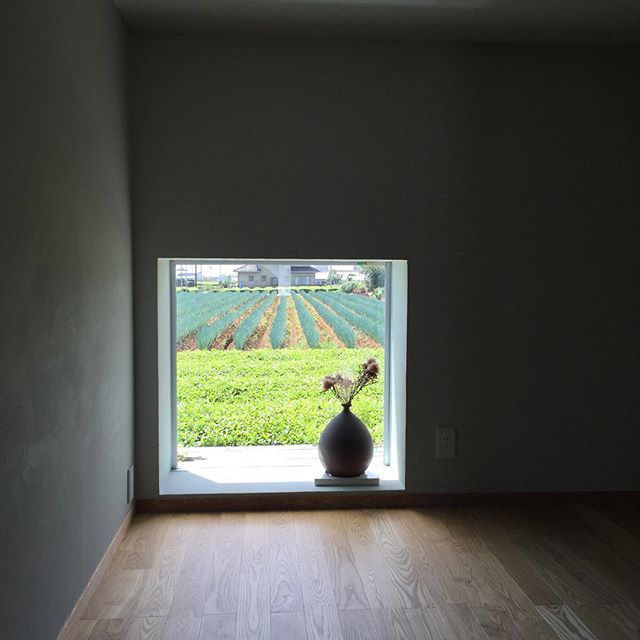 事務所から見える茶畑。癒される〜〜。 #ウッドデッキ#テラス#住宅設計#建築#住宅#インテリア#バイクガレージ#注文住宅#オーダー家具#ウォールナット#アイアン#レザー#折々ギャラリー#ソファ#椅子#SE構法#耐震住宅