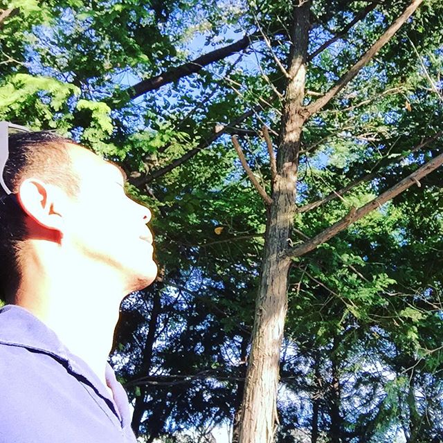 おはようございます。皆さん、セルフケアって知ってますか？僕は最近、身体が硬く？なってきているのを実感。身体を根本からケアすると緊張がほぐれる〜。 セルフケアを習ったトコロ↓http://s.ameblo.jp/kiyokiyo3-29/entry-12187072685.html#セルフケア#ayanoha#折々ギャラリー#朝の散歩#愛犬小梅