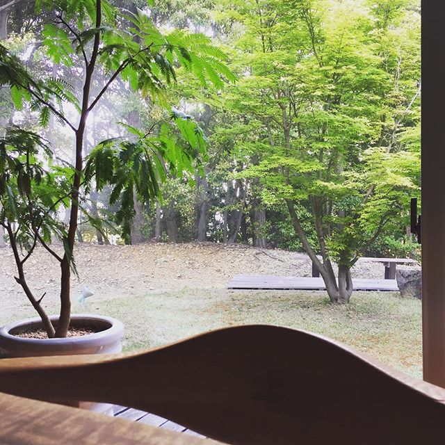 上棟の日はソワソワして早起きになります。庭には沢山の鳥たちの鳴き声で緊張感も少し和らげてくれるます。準備万端。今日も1日、安全性第一で！#ラグデザイン #上棟 #磐田市 #安全第一 #切妻屋根 #プロファイルウィンドウ