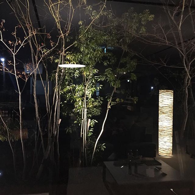 部屋(お店)の灯を消し庭を愉しむ。このシチュエーションで貴方はどんな音楽を聴聴きますか？#夜の音楽 #夜景 #折々ギャラリー #雑木林の庭 #ラグデザイン #jazz #ジョンコルトレーン