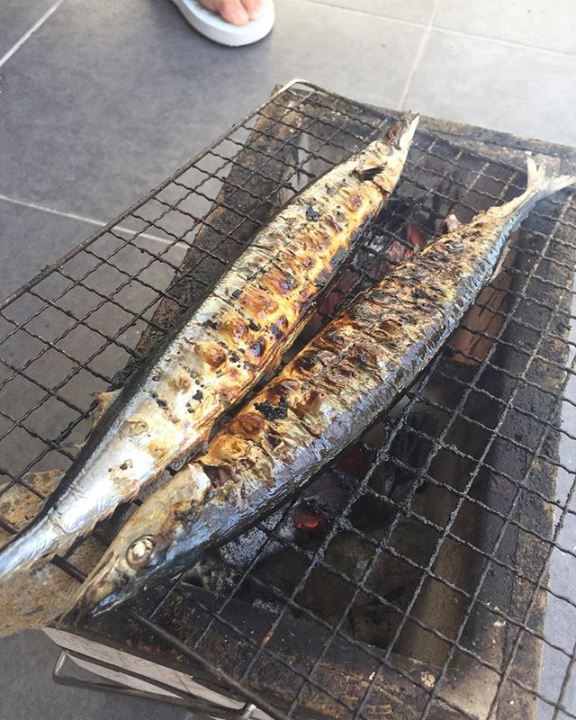 昼ご飯は秋刀魚炭火焼。七輪も秋刀魚用だから長方形。束の間の休日。#秋刀魚 #炭火焼
