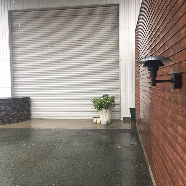 本日の営業は15時にて終了させていただきました。