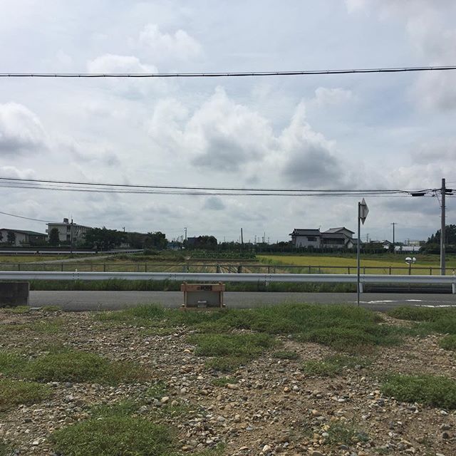 お客様と土地探しに来ました。長閑だけど便の良い場所…中々見つからない。この場所が今のところ一番。もう少し検討。1000万以下で。#土地探し #長閑 #新築 #注文住宅 #磐田市 #ラグデザイン