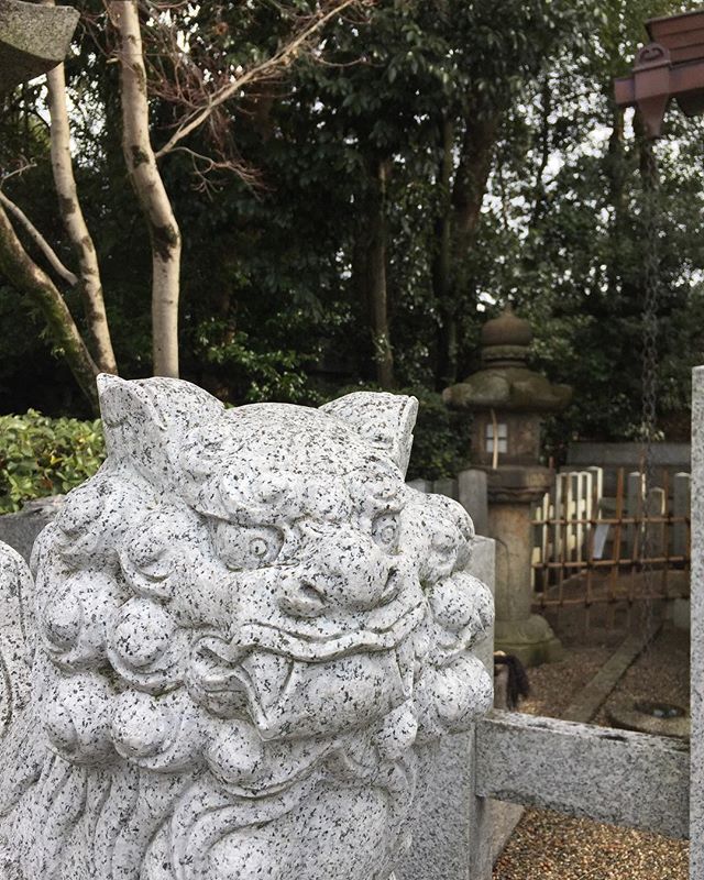 今年から始まるプロジェクトの打ち合わせに京都へ。oriori galleryに新しい風を感じる事になりそうです。お楽しみに！写真は八坂神社。#京都 #唐長 #oriorigallery#八坂神社