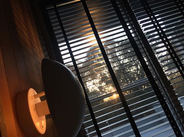 朝日を浴びる寝室#ラグデザイン #住宅設計 #ウッドブラインド #ルイスポールセン #phhat #レッドシダーウッド #磐田市
