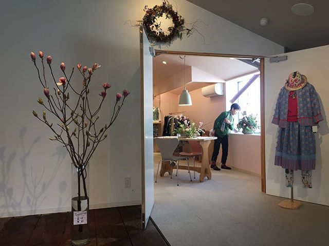 OPEN！ブティックragu hamamatsu木蓮と桜がお出迎えですオープニングは今日から3月11日までは連続営業しています！営業日:土.日.月 11-17時浜松市東区子安町316-1 oriori gallery 2F#オープニング #ブティック #桜 #木蓮 #春 #春コーデ #ファッション #店舗設計 #店舗デザイン #fritzhansen #セブンチェアー #アルネヤコブセン#ラグデザイン