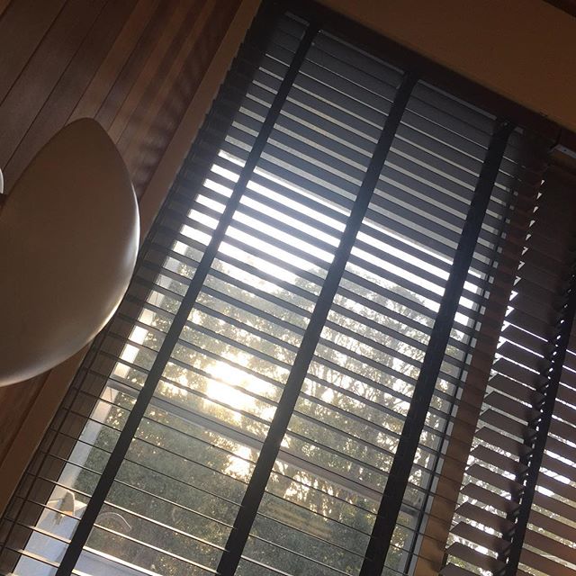レッドシダーと朝日が気持ち良い寝室からおはようございます。今日も一日よろしくお願いします。#住宅設計 #リノベーション #寝室 #ルイスポールセン #phhat #レッドシダー #レッドシダーの天井 #レッドシダーの壁 #ラグデザイン