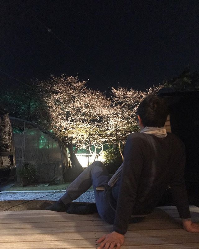 2年前に仕事させて頂いたI.Y housesで夜桜見物。素晴らしい桜とオーナーのおもてなし。どれも最高でした。有難い。#花見 #夜桜 #ラグデザイン