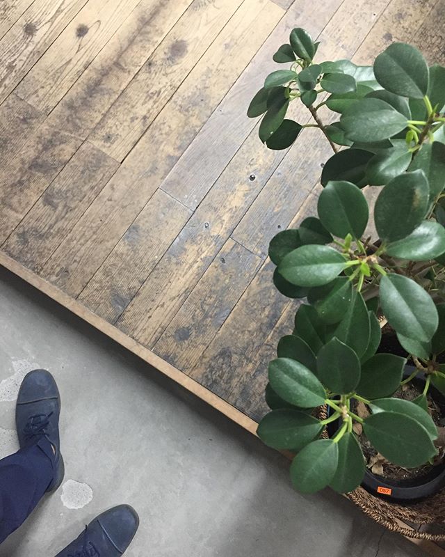 officeの床は無垢の杉板。土足で30年以上使用していますが全く痛んでいません。それよりも、使い込むと味が出て愛着が湧いてきます。来客の方は靴を脱いで上がってしまうぐらい感じが良いです。無垢の木は素晴らしいです！#杉 #床板 #無垢フローリング #設計事務所 #経年変化を楽しむ #ラグデザイン